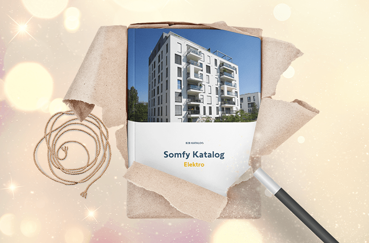 database-publishing-softwareBanner Webinar IBxSomfy Website 1