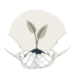 database-publishing-softwareEnvironment bro